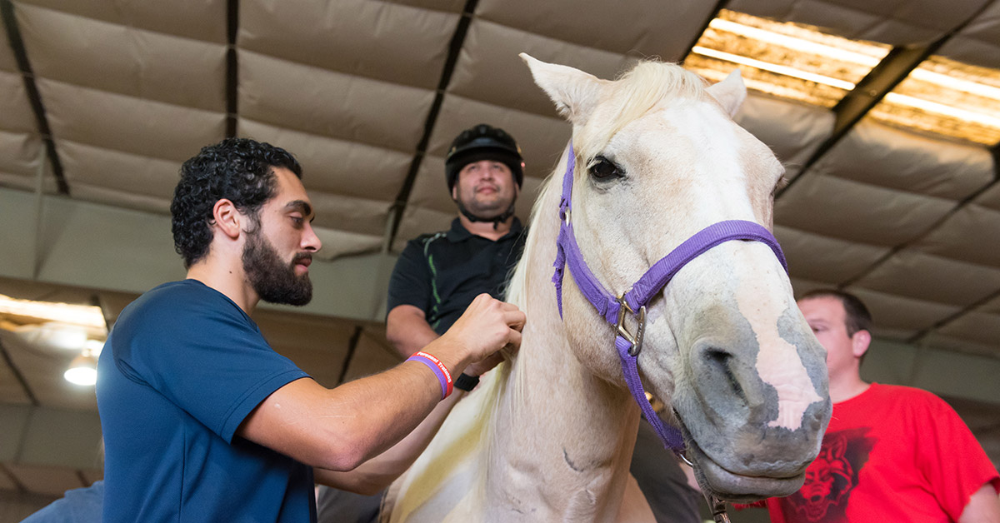 Campus Hippotherapy Program Provides Emotional and Physical Benefits