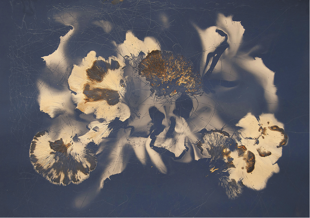 Delta National Small Prints Exhibition Dedicated to Evan Lindquist