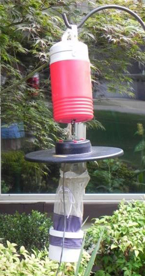 Mosquito-trap-web.jpg