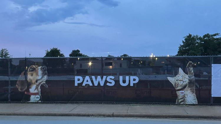 College of Veterinary Medicine Paws UP