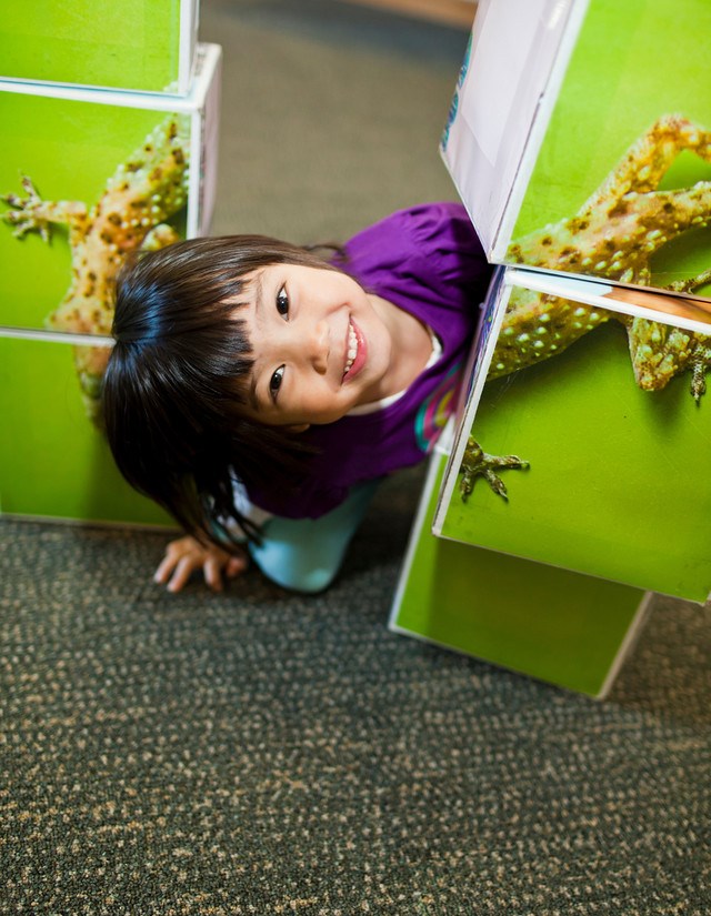 Nano puzzle Nano puzzle