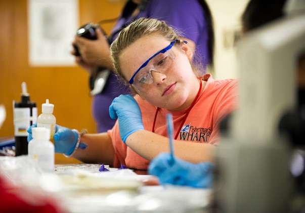 A-State Summer Camp Academy accepting applications