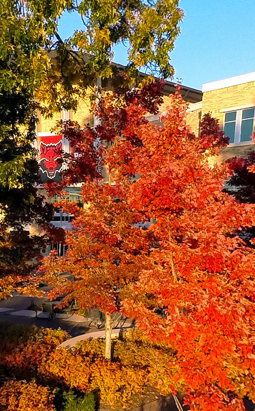 Jazz Bands to Present 'Autumn Leaves' Concert