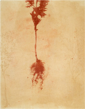 Print by Ellen Price Print by Ellen Price