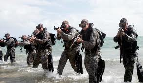 Combat Divers Combat Divers
