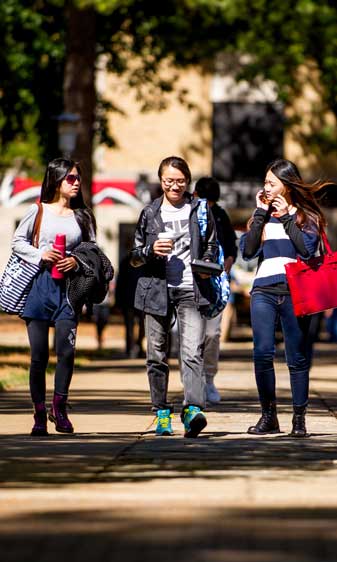 Spring Semester Enrollment Highest with New Standards