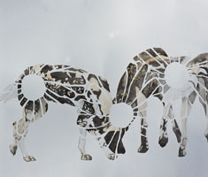 Spring 2016 Senior Exhibition&rdquo; opens at Bradbury Art Museum